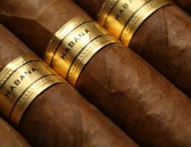 Habana cigar