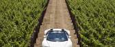 White Bugatti Veyron grand sport front