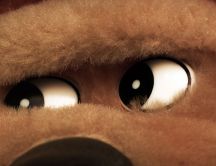 Brown teddy bear - big black eyes