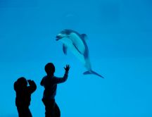 Children at Water Park - dolphin
