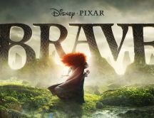 Animation 2012 - Brave movie, Princess Merida