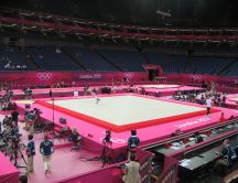 Olympic games London 2012 - Gymnastics competition