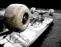 Skateboard wheel close up HD wallpaper
