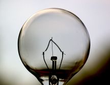 Light bulb inside - amazing discovery
