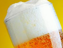 Perfect white beer foam HD wallpaper