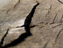 Macro - crack in the wood HD wallpaper