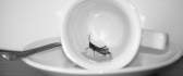 A small cricket in a white coffee cup