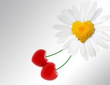 A flower with love - the heart cherries HD wallpaper