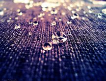 Water drops on a wool carpet HD wallpaper