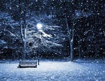 Night - snow over the park HD wallpaper