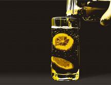 Slices of lemon in a glass of water HD wallpaper