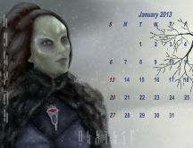 Calendar January 2013 - The primary Akasha