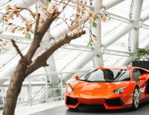 The new Lamborghini LP700 - orange car