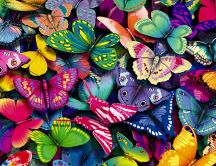 Lots of colorful butterflies - HD wallpaper