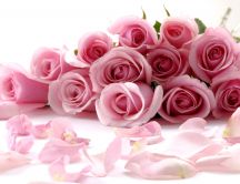 A gorgeous bouquet of pink roses HD wallpaper
