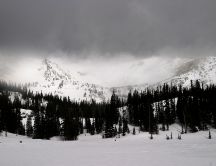 Gloomy weather - gray winter landscape