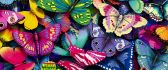 Lots of colorful butterflies - HD wallpaper