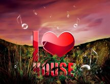 I love house music -HD wallpaper