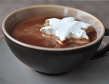 Hot chocolate with truffles and a star of cream