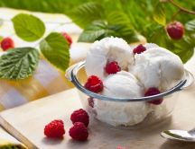 Ice cream and Fresh raspberries from garden