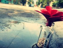Lovely red rose in a bottle - hand made
