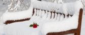 Beautiful red rose left on the white snow - HD wallpaper