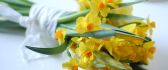 Yellow daffodil bouquet - spring flowers