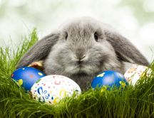 Big gray rabbit defends Easter eggs - HD wallpaper
