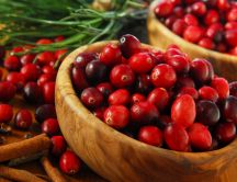 Macro - sweet cranberries and cinnamon