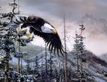 Drawing - eagle flying above the trees full of snow