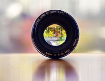Super zoom - Canon Lens EF 50mm