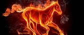 Art design - horse in fire