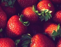 Delicious spring fruits - strawberries