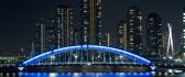 A beautiful bridge illuminated at night - blue light