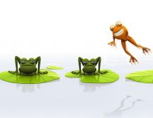 Funny frogs  jump