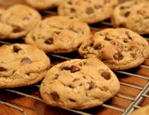 Cookies with chocolate chips - delicious