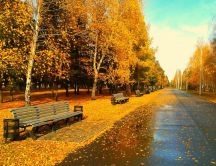 A day in mid-autumn - walk in the park