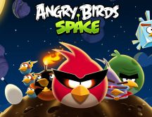 Funny game - Angry birds space
