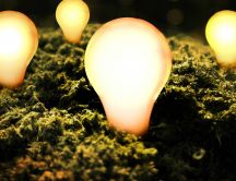 Big bulbs in the grass - garden lights