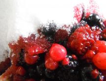 Raining with sugar over berries - HD wallpaper