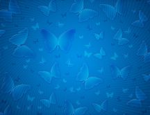 Blue butterflies on a blue HD wall