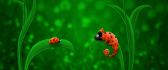 Chameleon and Ladybug - Funny HD wallpaper