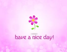 Small flower on a pink background - have a nice day