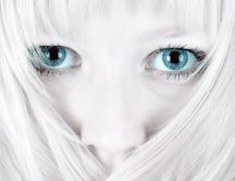 White hair and big beautiful blue eyes - HD wallpaper