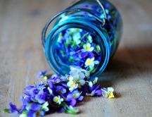 Keep the essence - small blue flowers in a jam