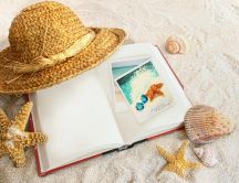The journal of a beautiful summer holiday