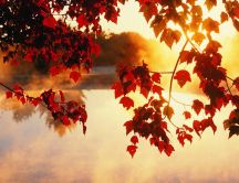 Good morning autumn - sunrise on the lake