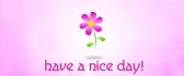 Small flower on a pink background - have a nice day