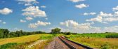 Summer landscape - the railway