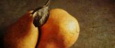 Wonderful fruit paint - delicious autumn pears